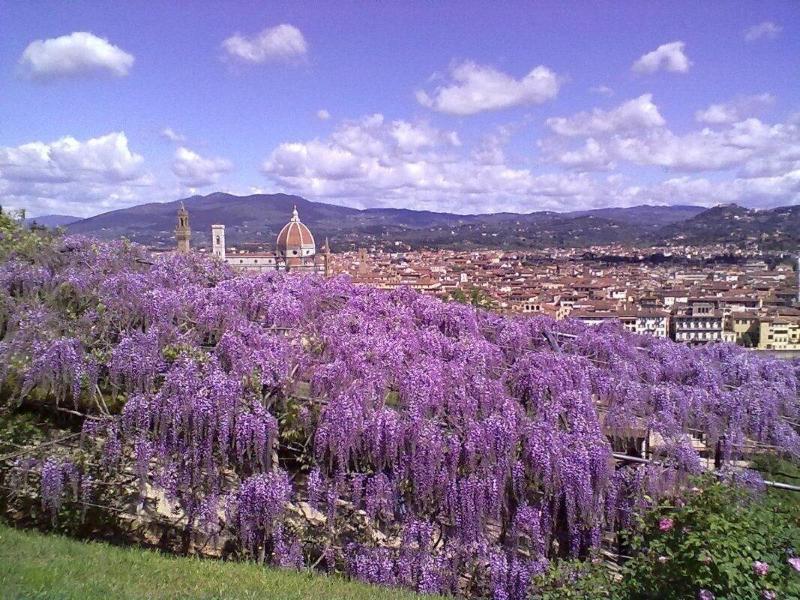 Soggiorno Alessandra Florence Ngoại thất bức ảnh